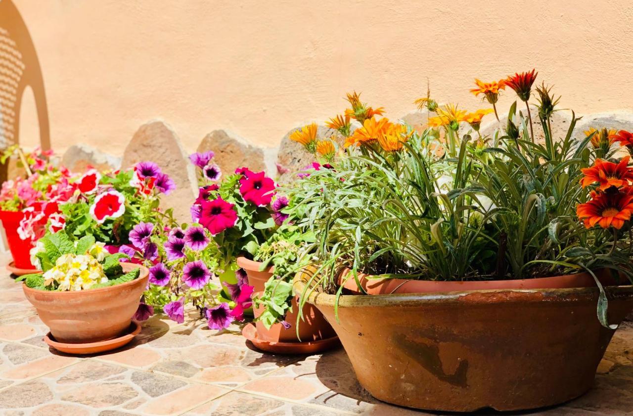 Domo All'Antico Borgo โอริสตาโน ภายนอก รูปภาพ